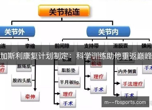 加斯利康复计划制定：科学训练助他重返巅峰